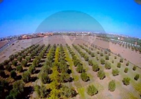 VNA : Une Condition Essentielle Pour L’achat De Certains Terrains Au Maroc